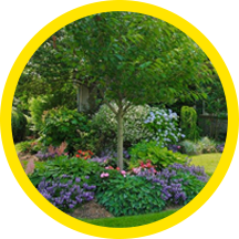 Paccione & Sons Long Island landscaping services icon.