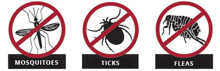 Merrick Mosquito Control Services, including ticks and fleas