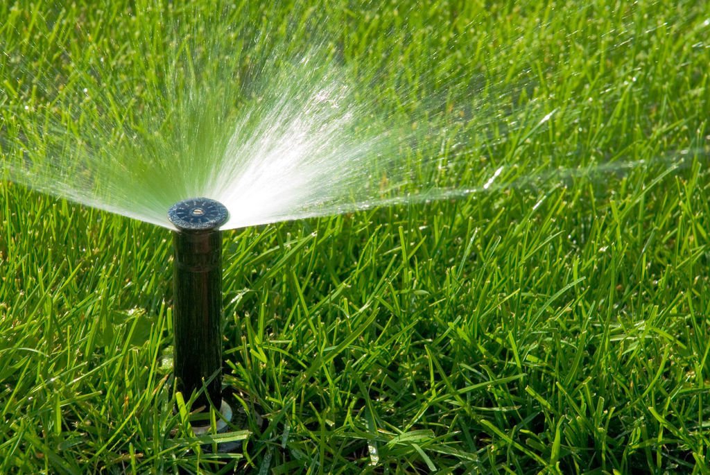 Long Beach sprinkers and irrigation service from Paccione Landscaping